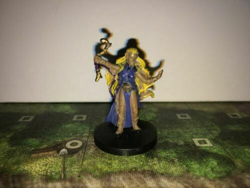 Lanin, Elf Wizard - Dungeons & Dragons Basic Game